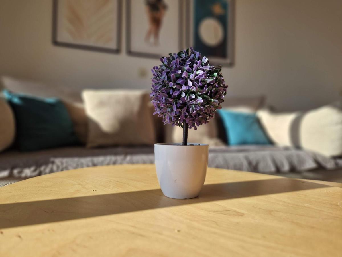City Apartment Sanja Makarská Exteriér fotografie